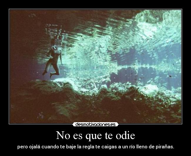 No es que te odie - pero ojalá cuando te baje la regla te caigas a un río lleno de pirañas.