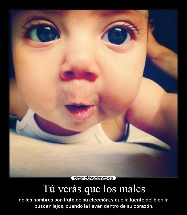 Tú verás que los males - de los hombres son fruto de su elección; y que la fuente del bien la
buscan lejos, cuando la llevan dentro de su corazón.