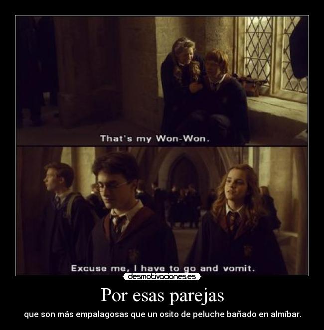 carteles pottermania puke rainbows nomiresaqui desmotivaciones