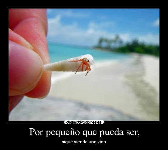 Por pequeño que pueda ser, - 