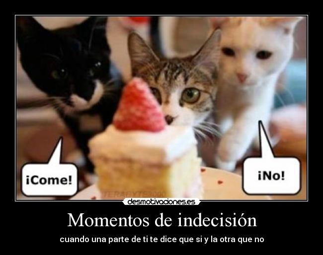 Momentos de indecisión -