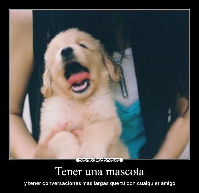 Tener una mascota - y tener conversaciones mas largas que tú con cualquier amigo