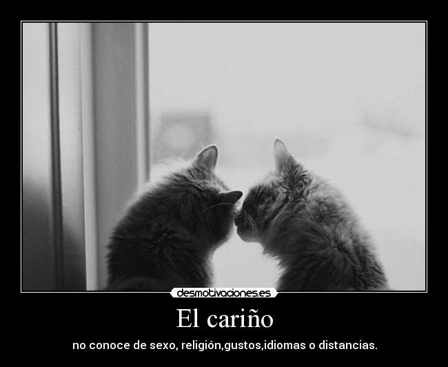 El cariño -