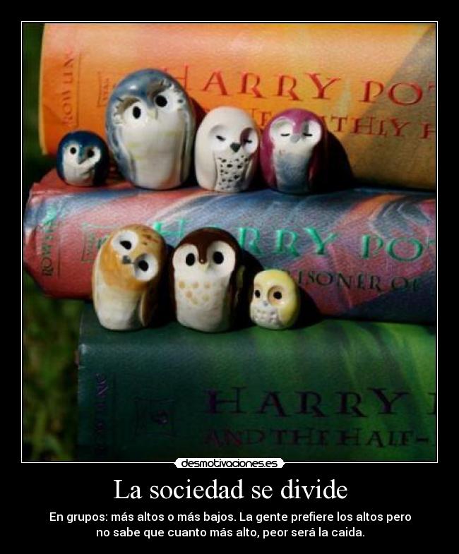La sociedad se divide -
