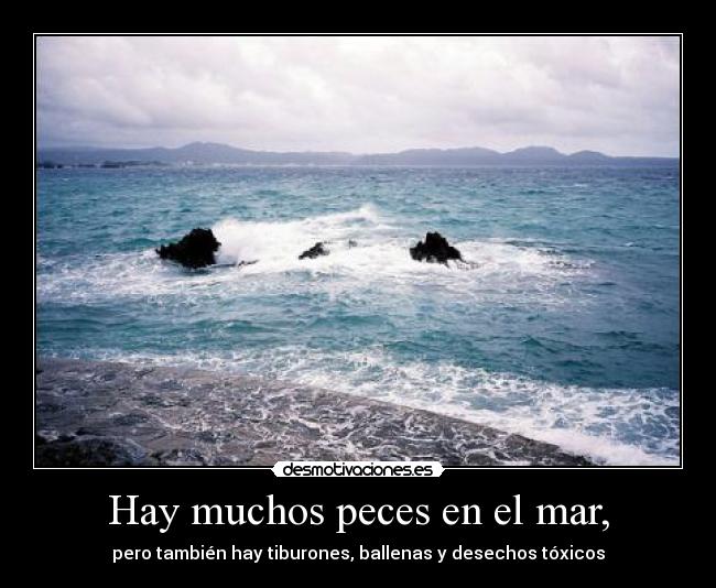 Hay muchos peces en el mar, - pero también hay tiburones, ballenas y desechos tóxicos