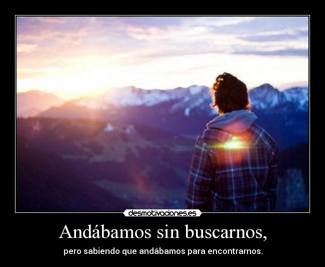 carteles toos locoos quieres ser sancho panza desmotivaciones