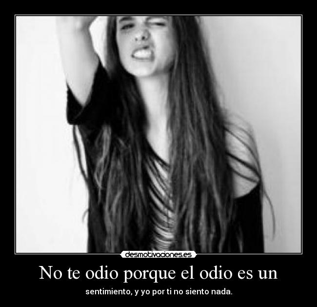 No te odio porque el odio es un - sentimiento, y yo por ti no siento nada.