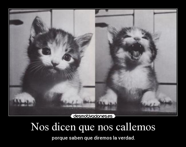 Nos dicen que nos callemos - 
