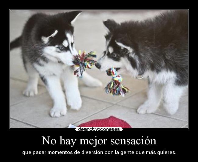 No hay mejor sensación -