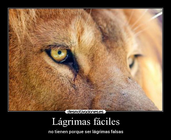 Lágrimas fáciles -