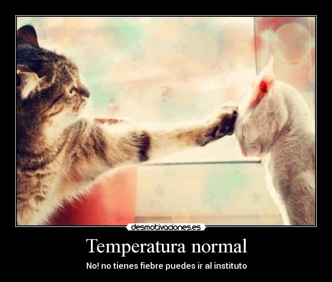 Temperatura normal - No! no tienes fiebre puedes ir al instituto