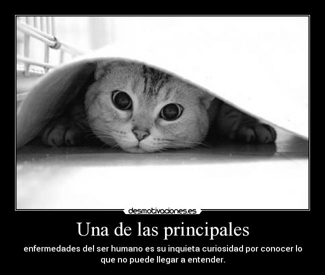 carteles changes weds desmotivaciones