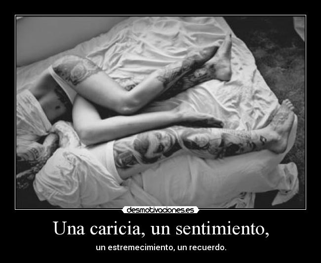 carteles fedeminem empieza por como felicidad eres felicidad aksjekdke quiero desmotivaciones