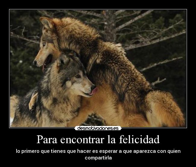 carteles felicidad aparecen lobos solo por eso mola jujuju nam desmotivaciones