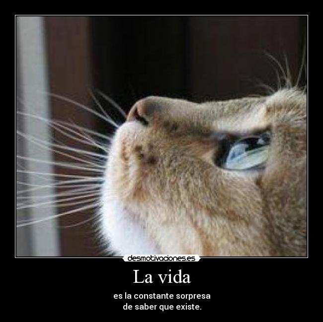 La vida - 