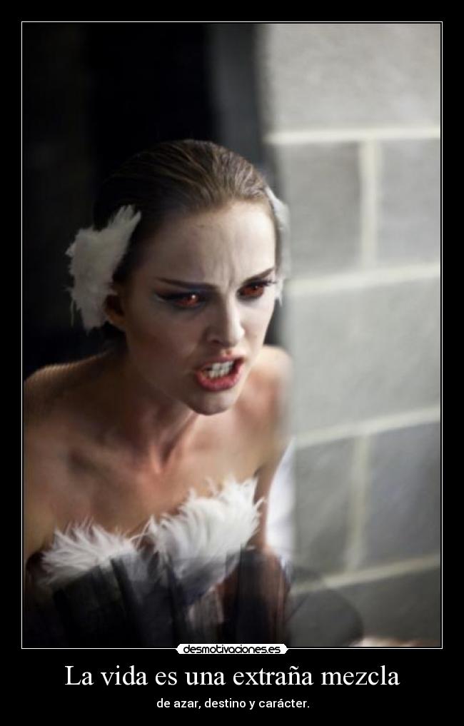 La vida es una extraña mezcla -