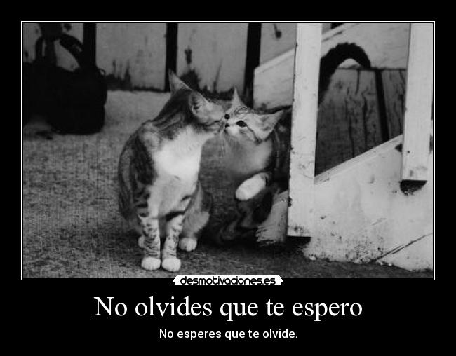 carteles papapitufo desmotivaciones