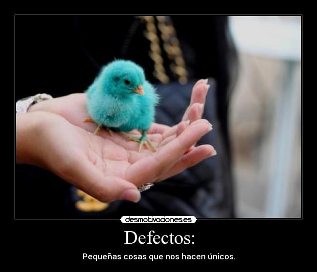 carteles pollito desmotivaciones