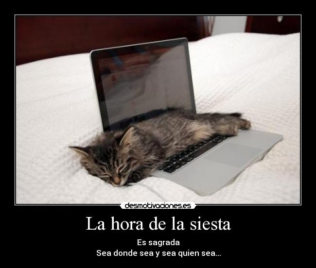 La hora de la siesta - Es sagrada
Sea donde sea y sea quien sea...