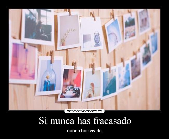 Si nunca has fracasado - nunca has vivido.