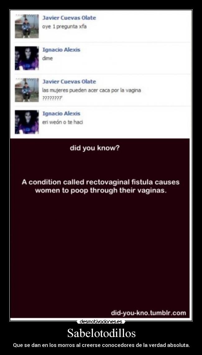 Sabelotodillos - Que se dan en los morros al creerse conocedores de la verdad absoluta.