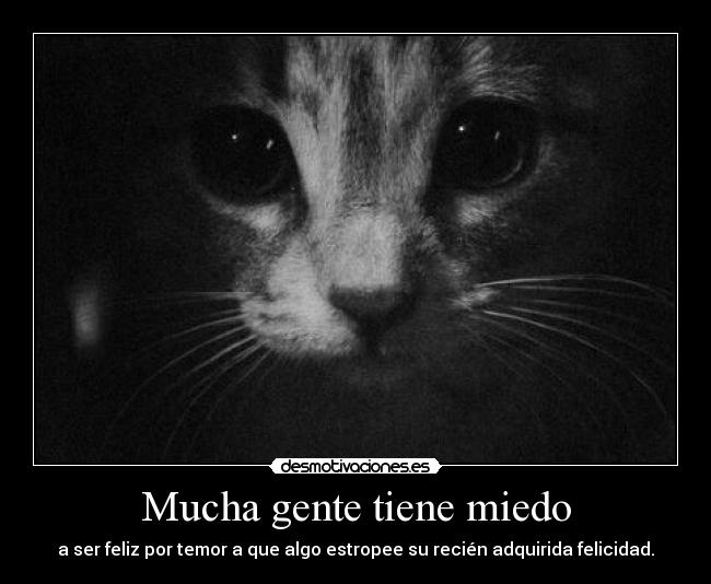 Mucha gente tiene miedo - 