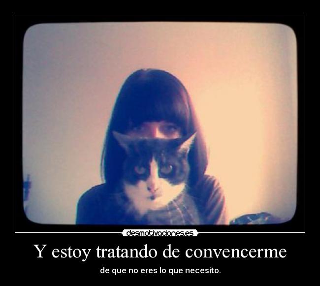 Y estoy tratando de convencerme - de que no eres lo que necesito.