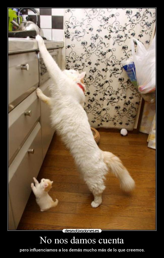 No nos damos cuenta -