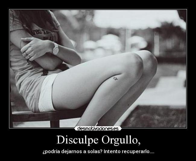 Disculpe Orgullo, -