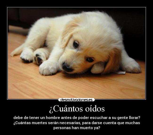 ¿Cuántos oídos - debe de tener un hombre antes de poder escuchar a su gente llorar?
¿Cuántas muertes serán necesarias, para darse cuenta que muchas
personas han muerto ya?