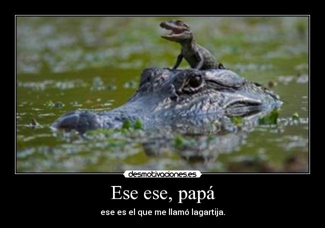 Ese ese, papá - ese es el que me llamó lagartija.