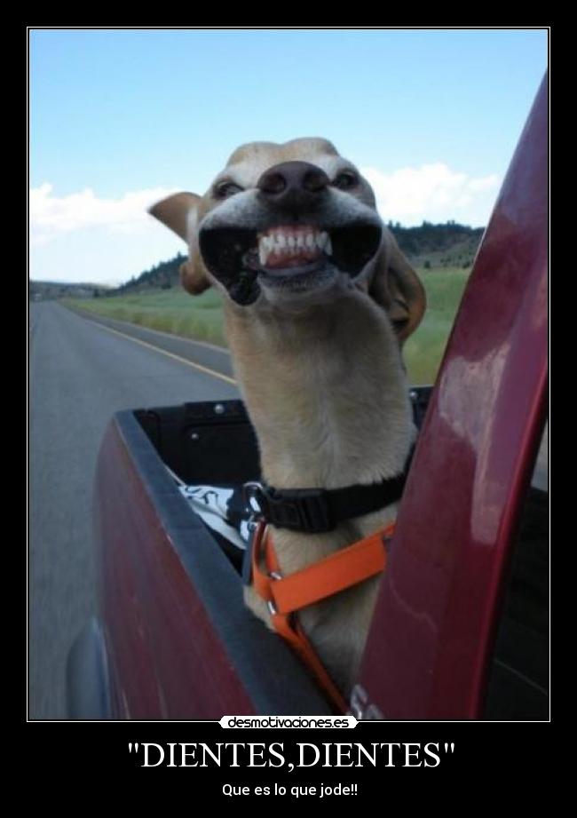 DIENTES,DIENTES - Que es lo que jode!!