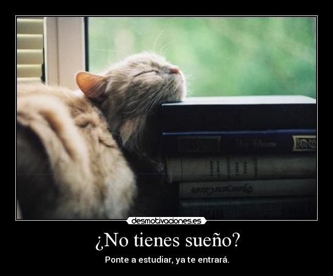 ¿No tienes sueño? -