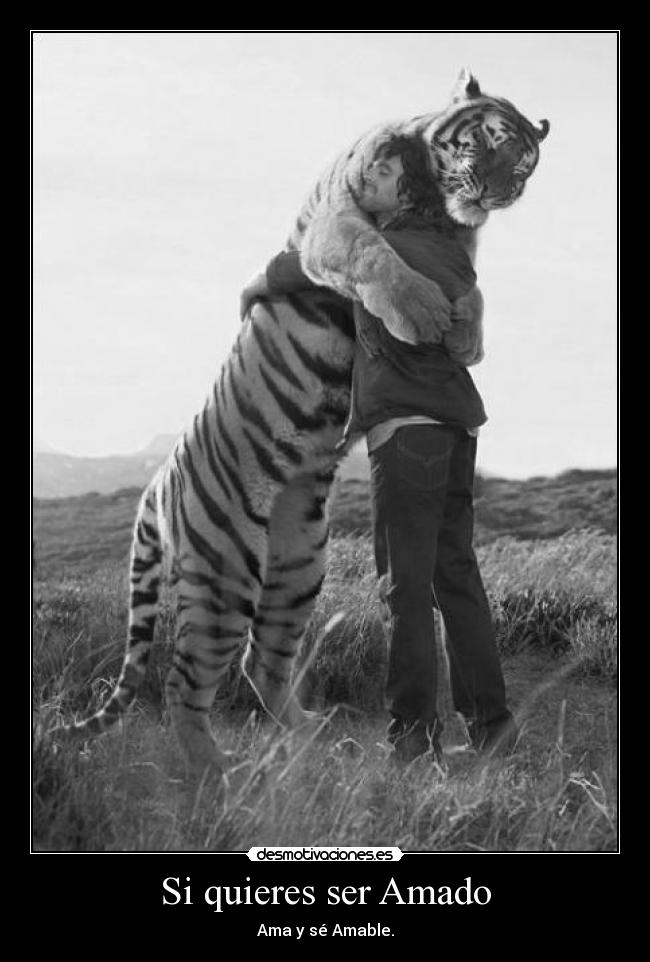 Si quieres ser Amado - 