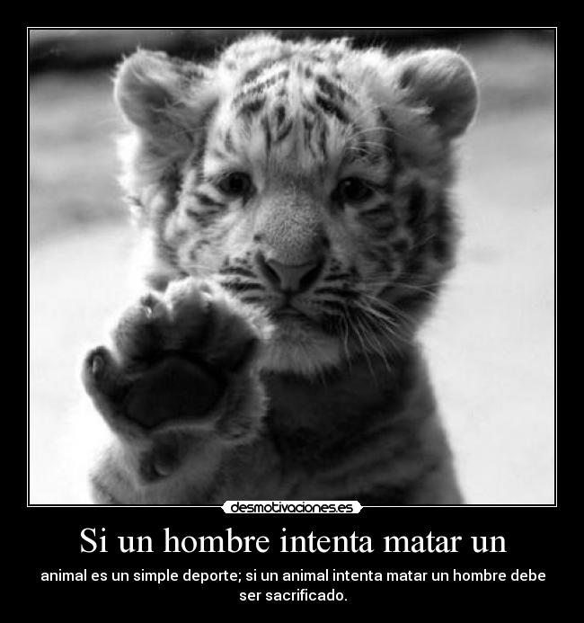 Si un hombre intenta matar un - animal es un simple deporte; si un animal intenta matar un hombre debe
ser sacrificado.