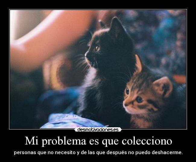 Mi problema es que colecciono -