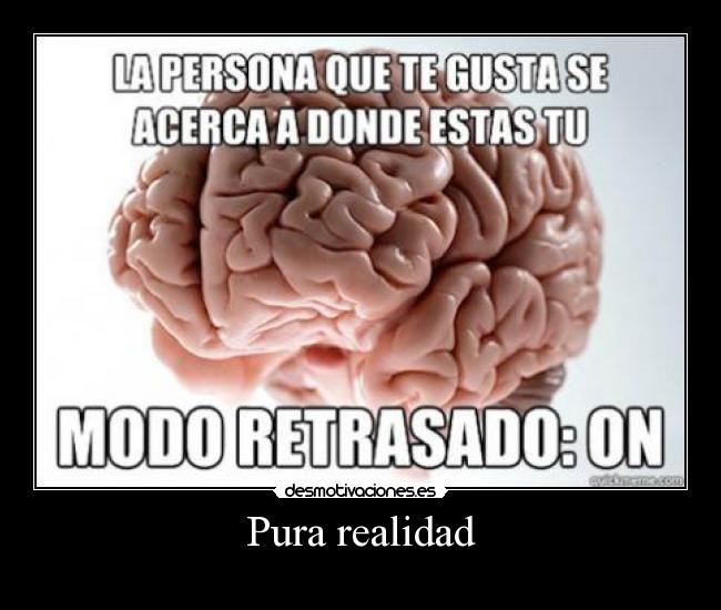 Pura realidad -