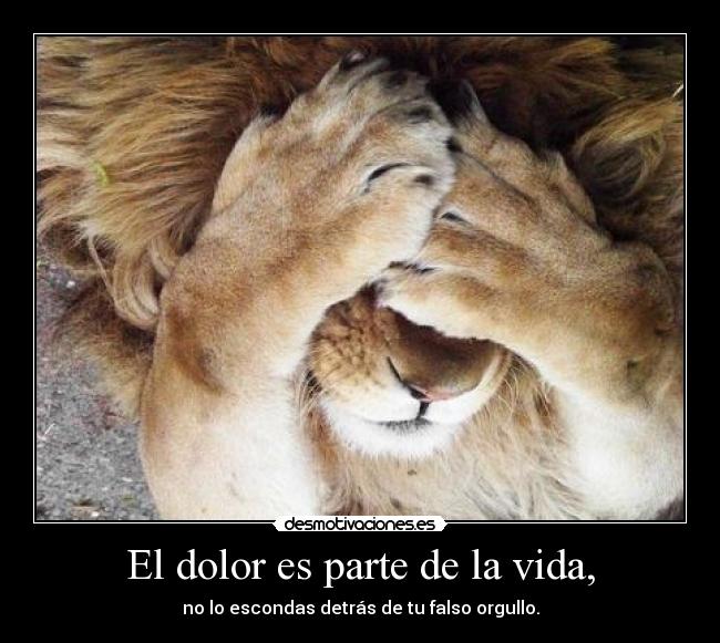 El dolor es parte de la vida, -