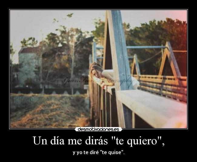 carteles quiero quise desmotivaciones