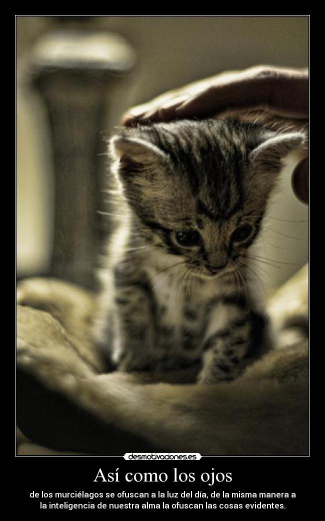 carteles nos quieren convencer que todo esta controlado pero estamos esto mola sin comas desmotivaciones