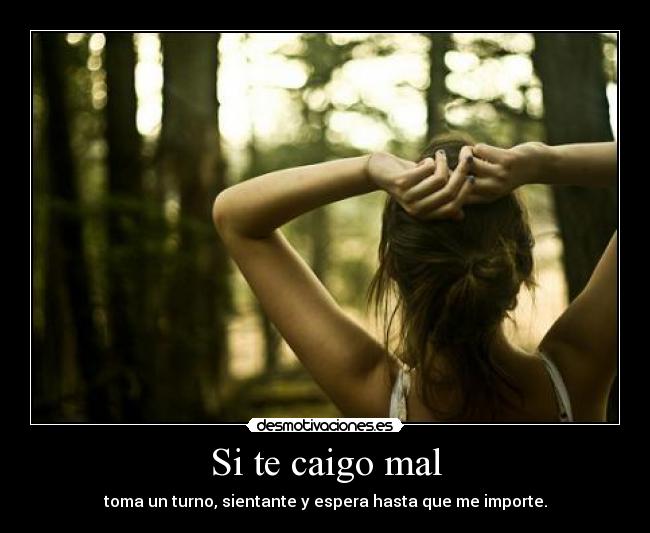 Si te caigo mal - 