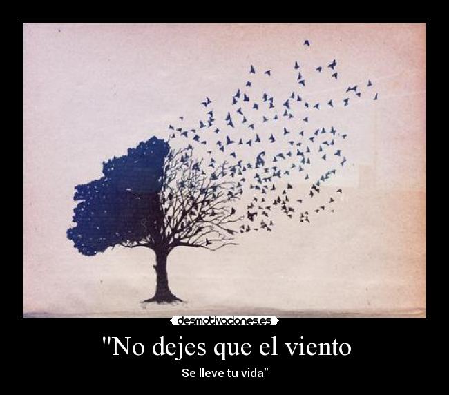 No dejes que el viento -