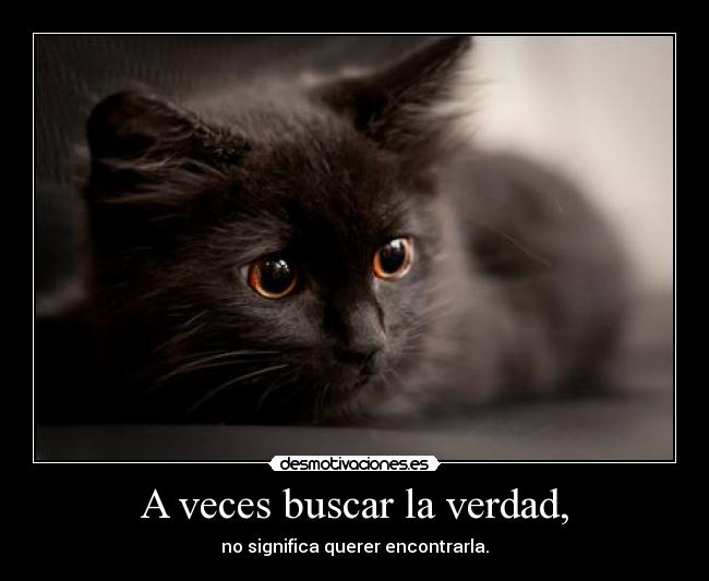 A veces buscar la verdad, - no significa querer encontrarla.