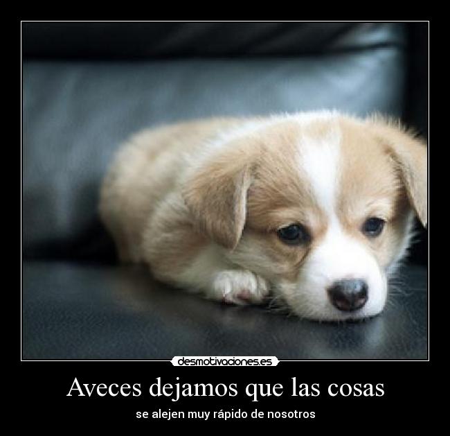 Aveces dejamos que las cosas - se alejen muy rápido de nosotros