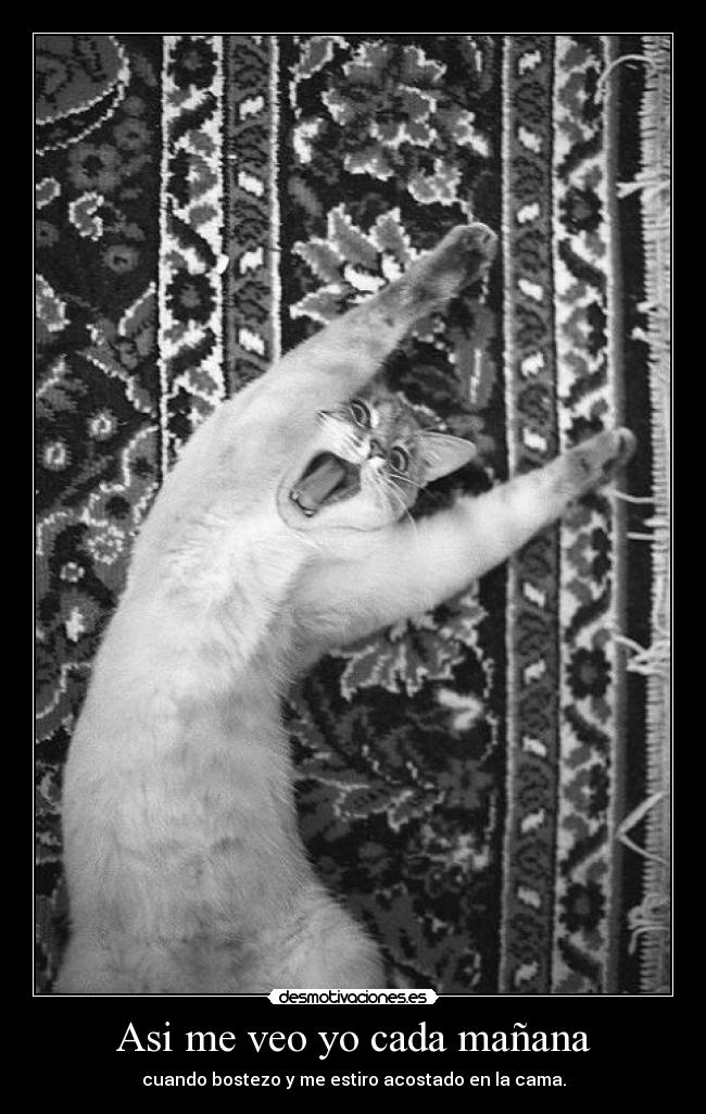 Asi me veo yo cada mañana - cuando bostezo y me estiro acostado en la cama.