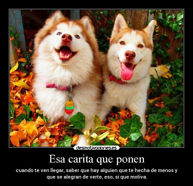 Esa carita que ponen - 