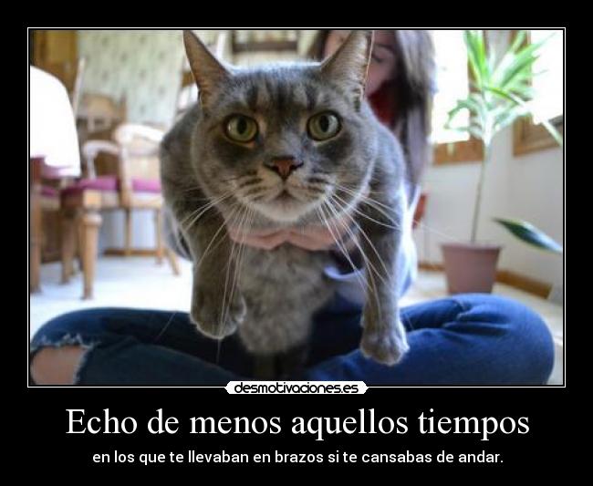 Echo de menos aquellos tiempos -