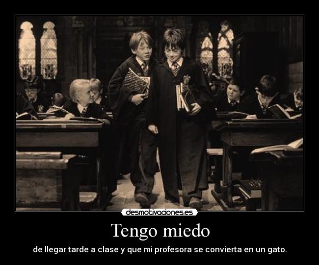 carteles miedo cartel hermione weasley harry potter dedicado punto rojo desmotivaciones