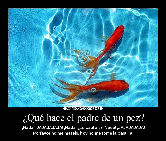 ¿Qué hace el padre de un pez? - ¡Nada! ¡JAJAJAJAJA! ¡Nada! ¿Lo captáis? ¡Nada! ¡JAJAJAJAJA!
Porfavor no me matéis, hoy no me tomé la pastilla.