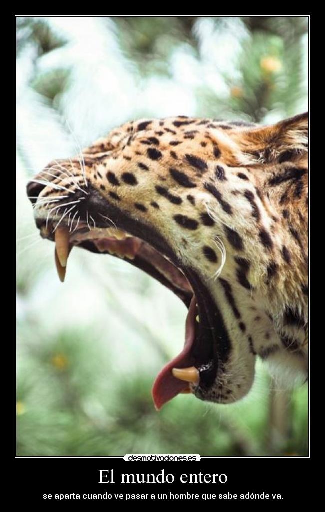 Simple essay leopard